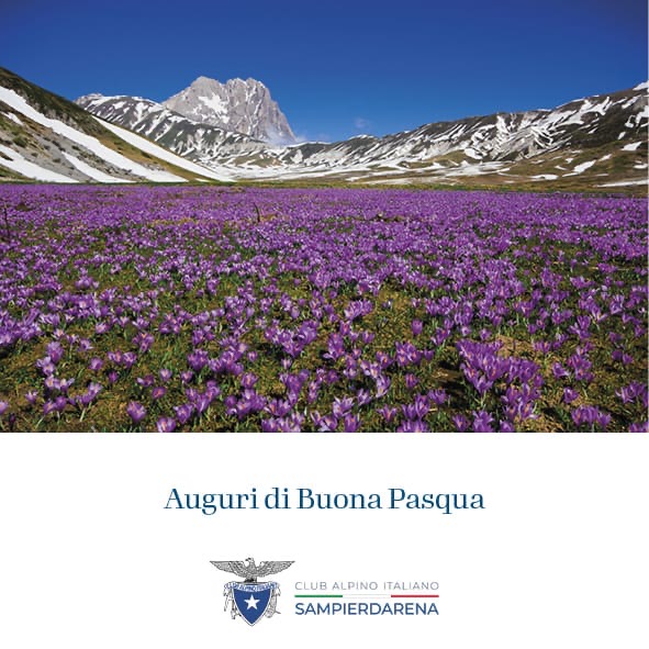 Auguri di Buona Pasqua
